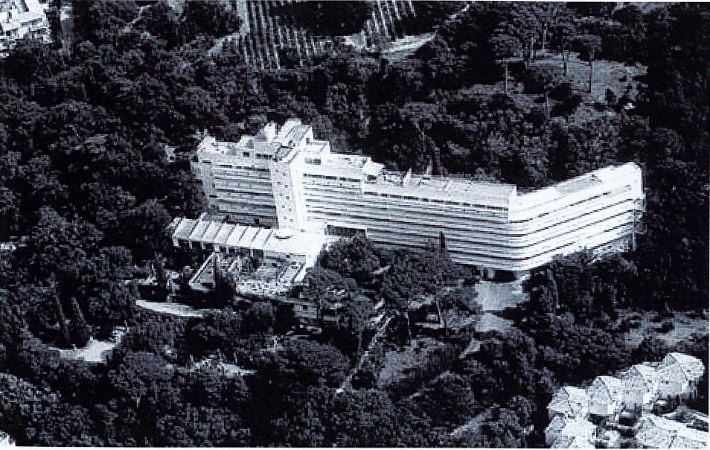 Barrette diamants 2.JPG